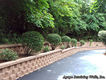 Retaining Wall Terraces 2